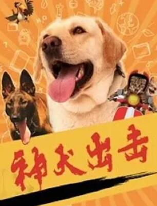 神犬出击